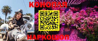 PSILOCYBIN Нальчик