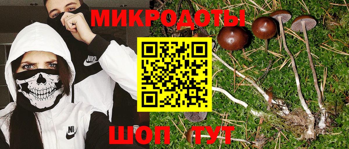 Псилоцибиновые грибы Psilocybe Сланцы