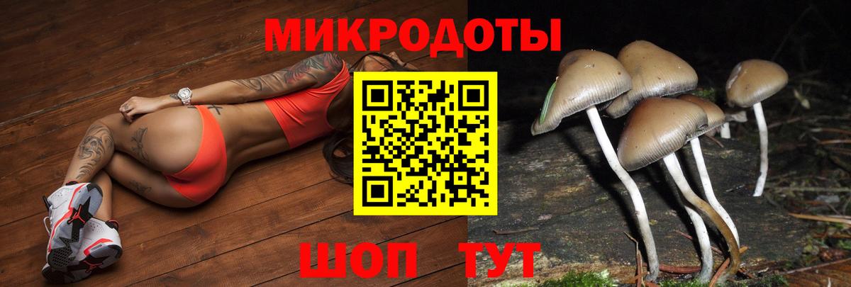 что такое   Вход с VPN  Галлюциногенные грибы MAGIC MUSHROOMS  Сланцы  Псилоцибиновые грибы Magic Shrooms 